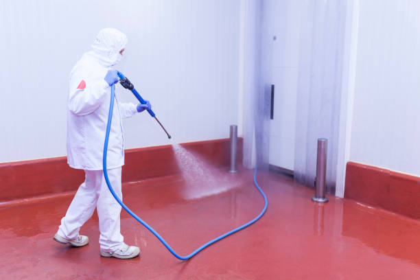 Bealeton, VA Pressure Washing Services Company