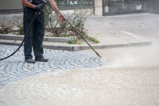 Best Driveway Cleaning and Restoration in Bealeton, VA